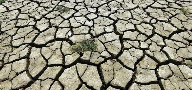 WALES DECLARES DROUGHT IN SEVERAL REGIONS