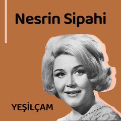 Kalbi Kırık Serseri