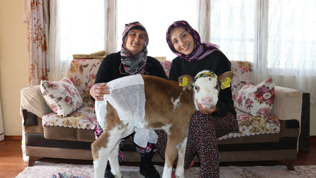 ’NİSAN’A BEBEK GİBİ BAKIYORLAR