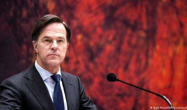 Far-right extremism a growing threat to Dutch democracy - agency