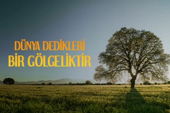 Dünya Dedikleri Bir Gölgeliktir