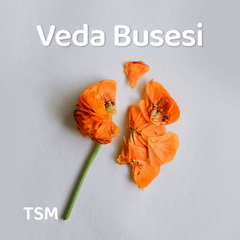 Veda Busesi