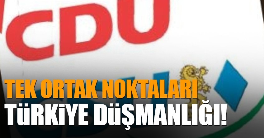 Tek ortak noktaları Türkiye düşmanlığı