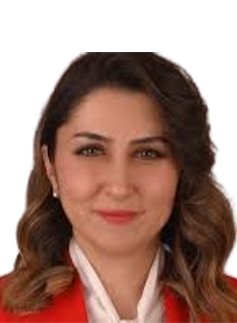 Burçin Solmaz Polat