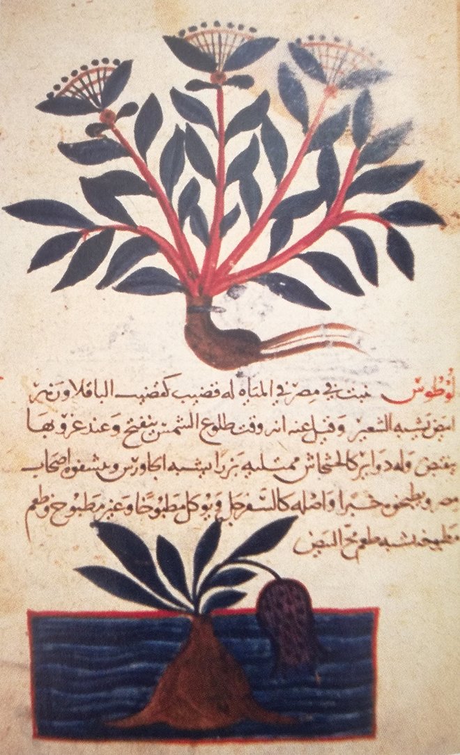 HER BİLGİYİ KÃÄIDA AKTARDILAR