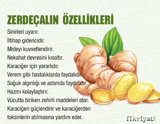 ZERDEÇAL KÜRÜ