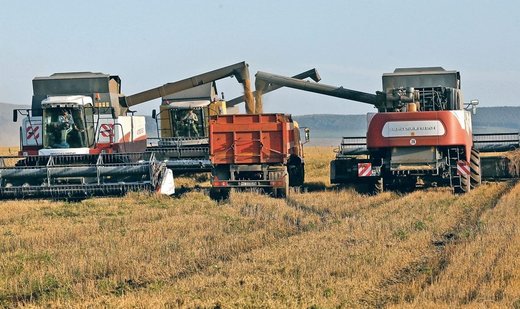 Russia’s IKAR cuts grain crop and export forecasts