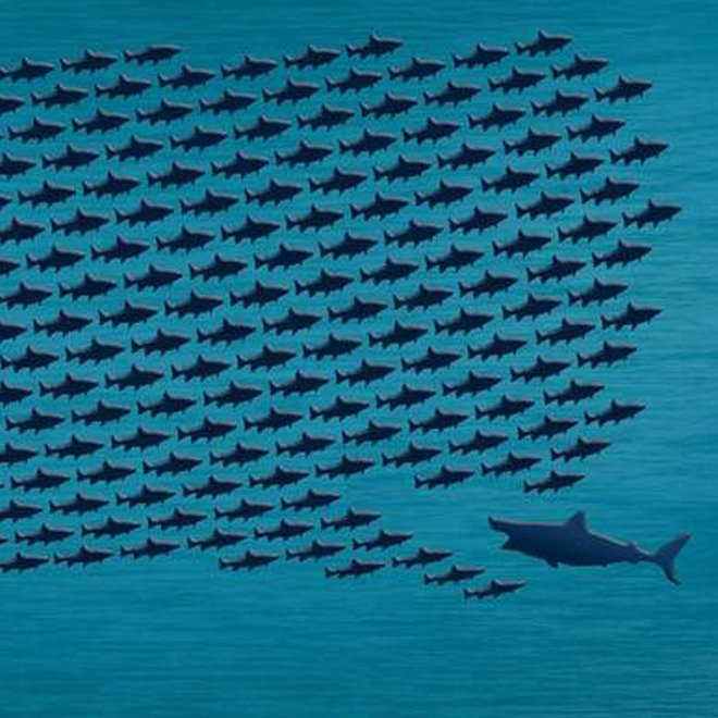 Kalp ferahlığı: İnfak