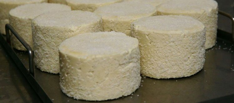 Mengen’in peyniri, kooperatif çalışmasıyla ününü yayacak