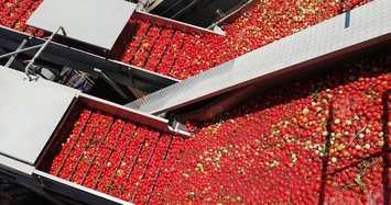 Turkey exports tomato paste to 99 countries