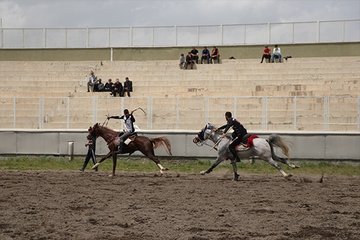 Erzurum’da ata sporu cirit heyecanı