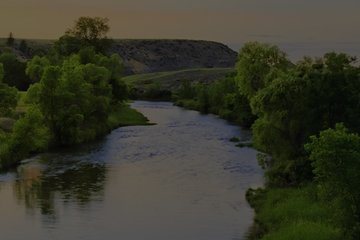 Bulanık suyun balıkları