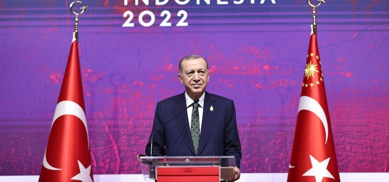 Türkiye spoke with Russia about sending grain to African countries free of charge: Erdoğan