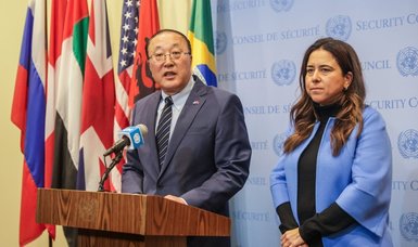 China, UAE urge UN Security Council to adopt ‘actionable resolution’ on Gaza