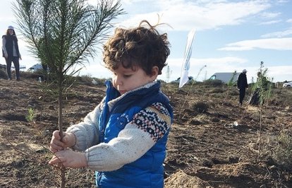 LimakınYeşilDönüşümOrmanlarıProjesiBalıkesirde
