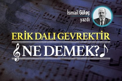 Erik dalı gevrektir ne demek?