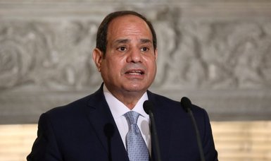 Mideast, eastern Mediterranean ‘most affected’ by climate change: Egypt’s Sisi