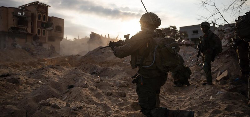 War has destroyed 75% of olive trees in Gaza: Palestinian authorities
