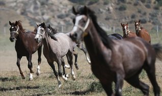 Haftanın kulisleri…