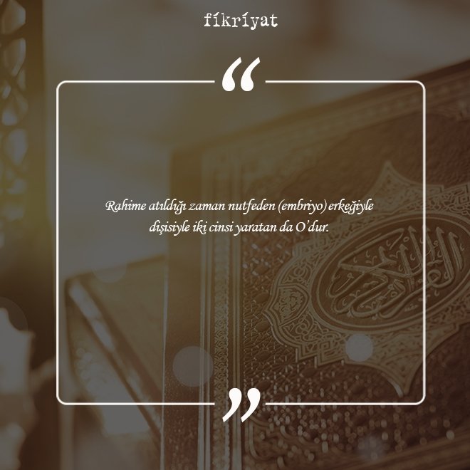 Kur’an-ı Kerim’de kadınlar hakkında ayetler