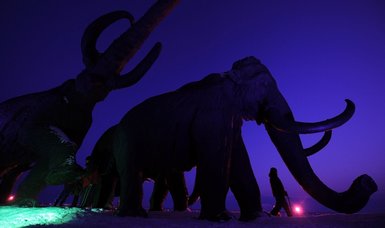 Bioscience firm claims will bring back extinct woolly mammoth