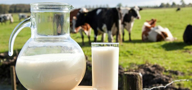 TURKEY COLLECTS 750,000+ TONS OF MILK IN FEBRUARY
