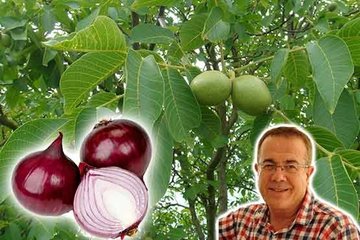 Yerli ve milli kaynakların ekonomiye kazandırılması