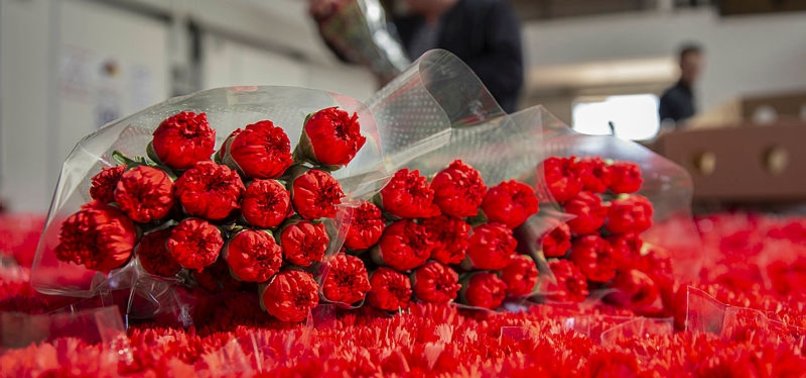 TURKEY EXPORTS 35 MILLION BOUQUETS ON INTL WOMENS DAY