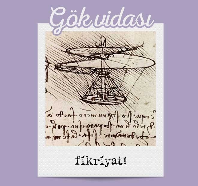 GÖK VİDASI