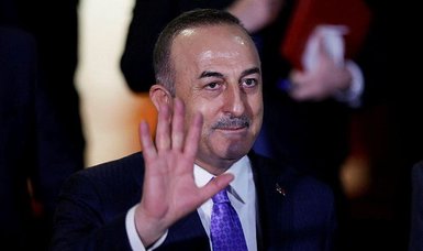 FM Çavuşoğlu warns Germany not to interfere in Turkey's internal affairs