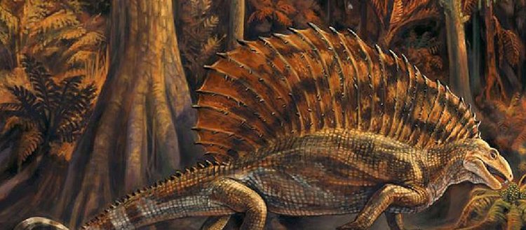 ABD’de 300 milyon yıllık otobur sürüngen fosili bulundu