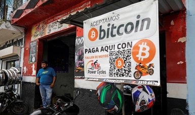 El Salvador to use bitcoin gains to fund veterinary hospital, president says