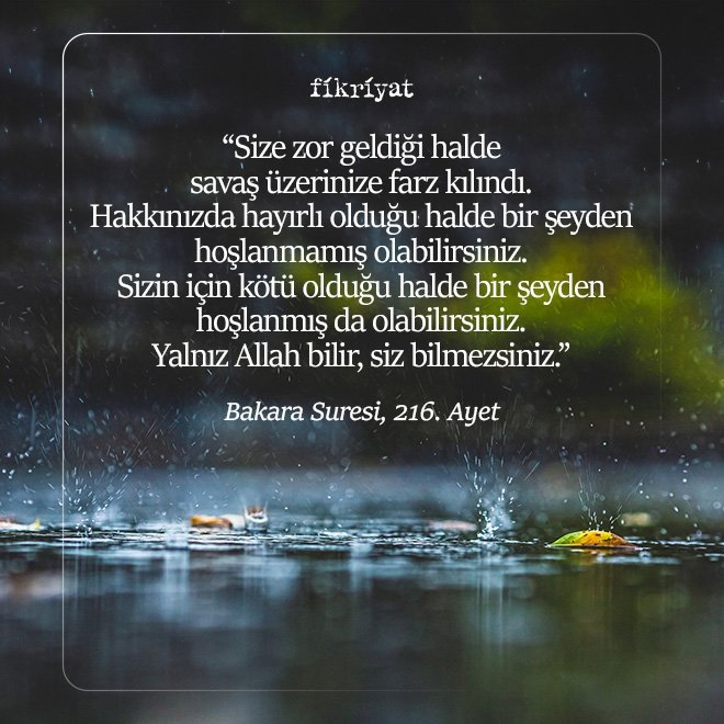 Bakara Suresi, 216. Ayet