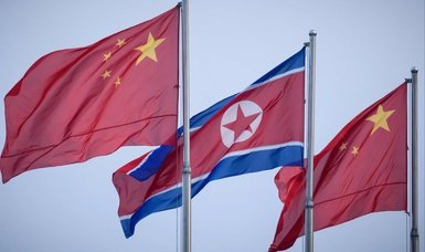 Chinese, North Korean diplomats hold talks in Beijing