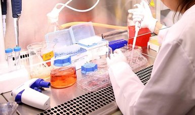 Scientists discover molecules that slow cell aging