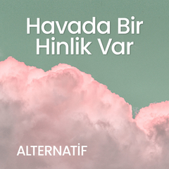 Havada Bir Hinlik Var
