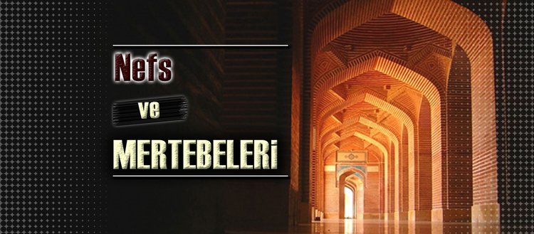 nefs ve mertebeleri fikriyat