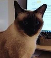 LUNA
