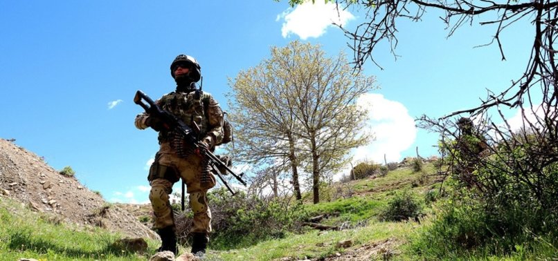 PKK TERRORIST ARRESTED ATTEMPTING TO INFILTRATE TÜRKIYE FROM SYRIA