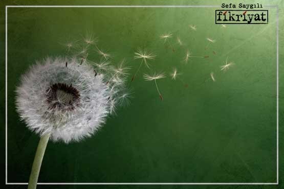 Yeşil terapi ve Kur’an