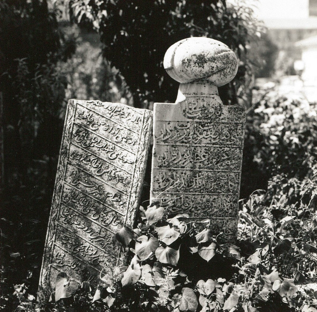 Tarihte bir yolculuk...