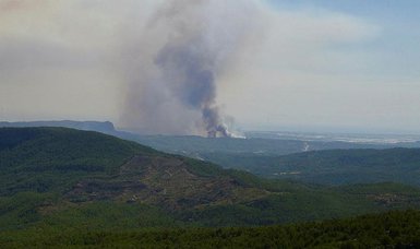 70 forest fires across Turkey under control - official