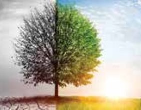 ÇEVRE KRİZİ HER ŞEYDEN ÖNCE AHLAKİ BİR SORUNDUR