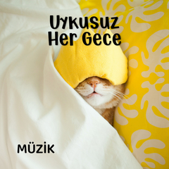 Uykusuz Her Gece