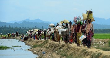 World fails to end Rohingya crisis: US Official