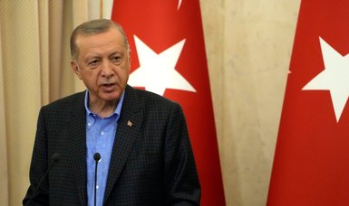 Erdoğan calls decision to mutually appoint ambassadors 