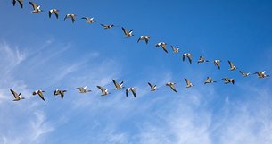 Ramazan’da İnsan Olma Sanatı