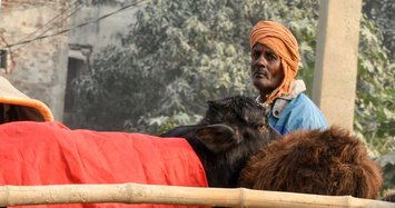 Nepal’s mass animal slaughter begins amid criticism