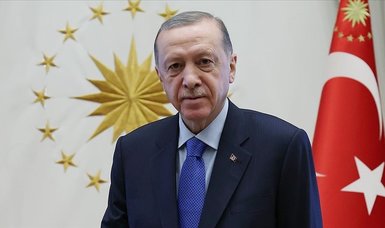 New ambassadors present credentials to Turkish President Erdoğan