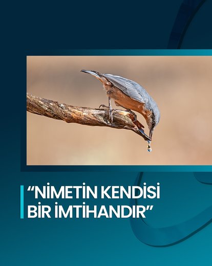 Nimetin Kendisi Bir İmtihandır